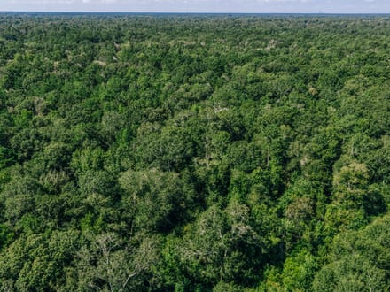 Kyle Lane Tract