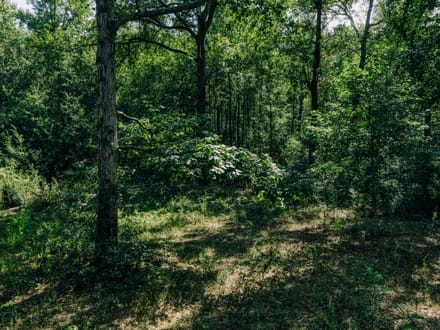 Kyle Lane Tract
