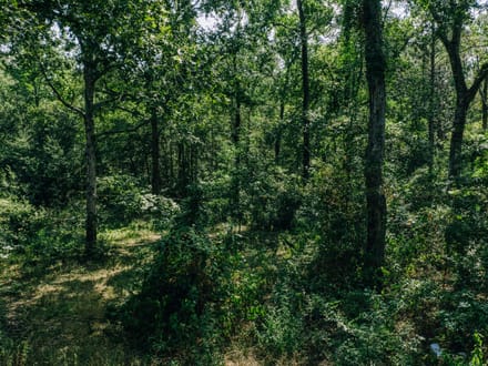 Kyle Lane Tract
