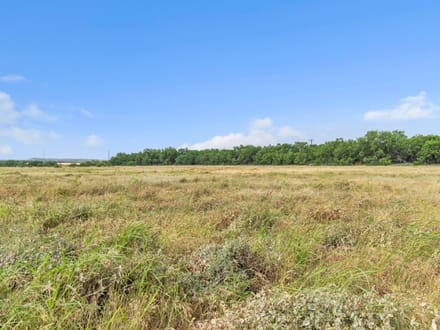 SHADY MESQUITE RANCH - 80 ACRES +/-  MORAN TX HWY 6