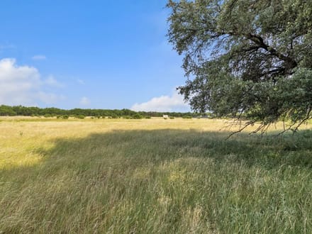 SHADY MESQUITE RANCH - 80 ACRES +/-  MORAN TX HWY 6