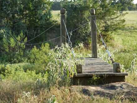 Angel Hand Ranch