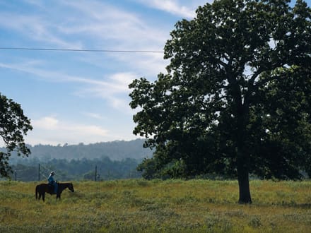 Angel Hand Ranch
