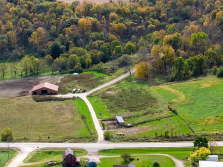 38+/- Acres Olmsted County, MN