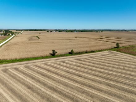 271.18+/- Acres Butler County, IA - AUCTION