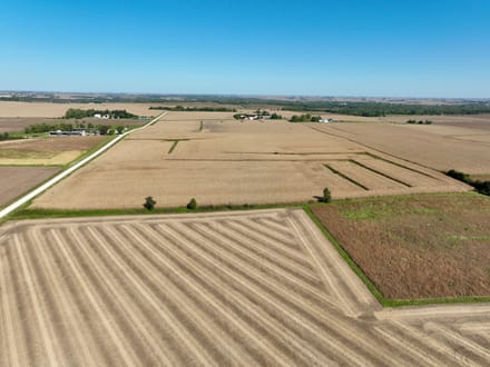 271.18+/- Acres Butler County, IA - AUCTION