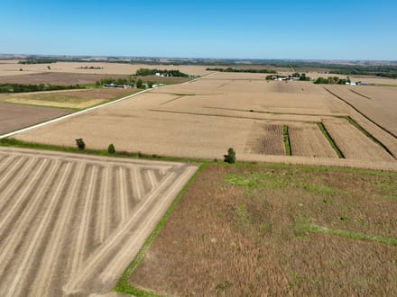 271.18+/- Acres Butler County, IA - AUCTION