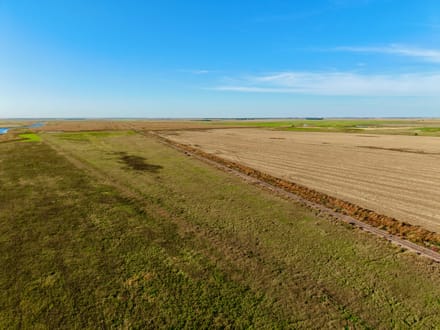 298+/- Acres Spink County, SD - AUCTION
