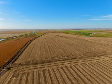 298+/- Acres Spink County, SD - AUCTION