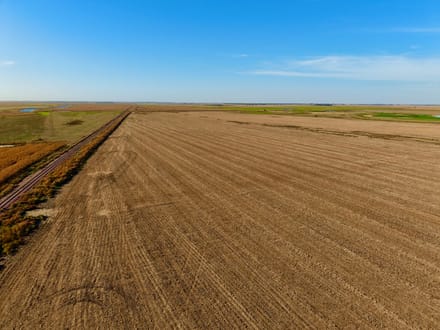 298+/- Acres Spink County, SD - AUCTION