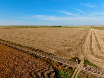 298+/- Acres Spink County, SD - AUCTION