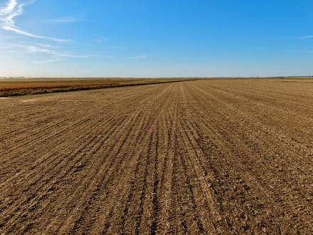 298+/- Acres Spink County, SD - AUCTION