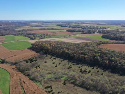 43+/- Acres Allamakee County, IA