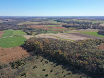 43+/- Acres Allamakee County, IA