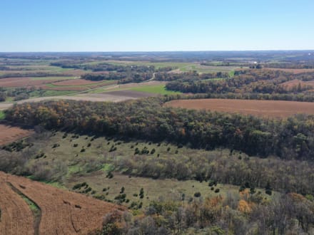 43+/- Acres Allamakee County, IA