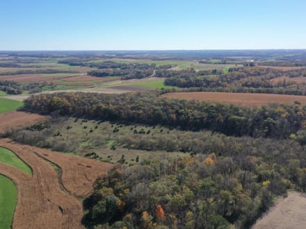43+/- Acres Allamakee County, IA