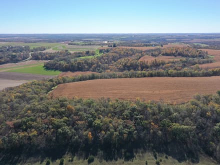 43+/- Acres Allamakee County, IA