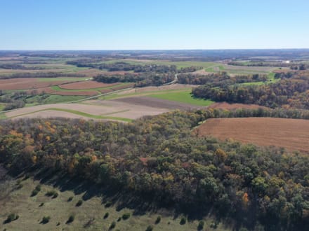 43+/- Acres Allamakee County, IA