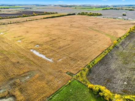 160.41+/- Acres Grand Forks, ND - AUCTION