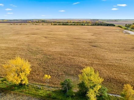 160.41+/- Acres Grand Forks, ND - AUCTION