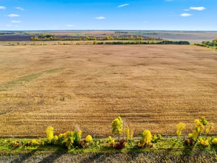 160.41+/- Acres Grand Forks, ND - AUCTION