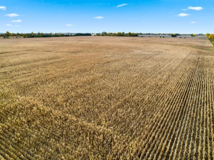 160.41+/- Acres Grand Forks, ND - AUCTION