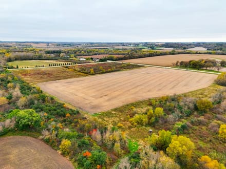 40+/- Acres Olmsted County, MN