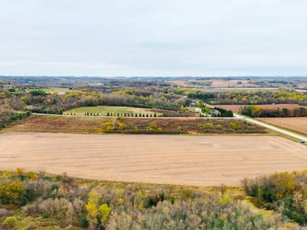 40+/- Acres Olmsted County, MN