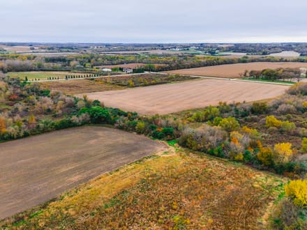 40+/- Acres Olmsted County, MN