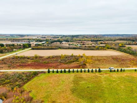 40+/- Acres Olmsted County, MN
