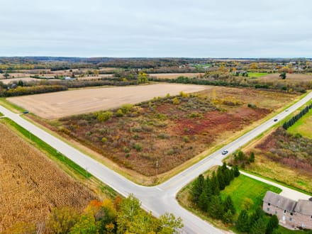 40+/- Acres Olmsted County, MN
