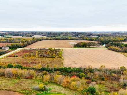 40+/- Acres Olmsted County, MN