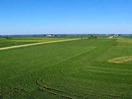 78+/- Acres Winneshiek County, IA