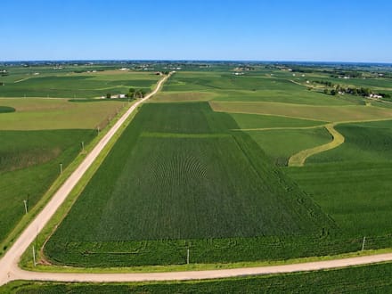 78+/- Acres Winneshiek County, IA