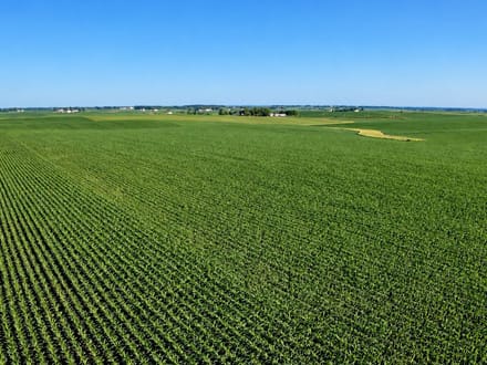 78+/- Acres Winneshiek County, IA