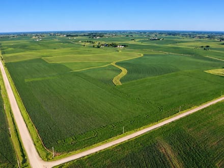 78+/- Acres Winneshiek County, IA