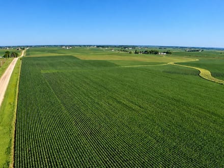 78+/- Acres Winneshiek County, IA