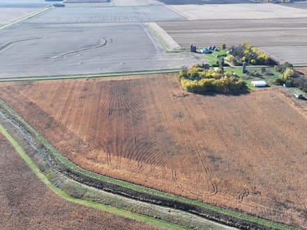 126+/- Acres Jackson County, MN - AUCTION