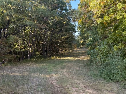 136 Acres, Timber, Recreational, Hunting Property