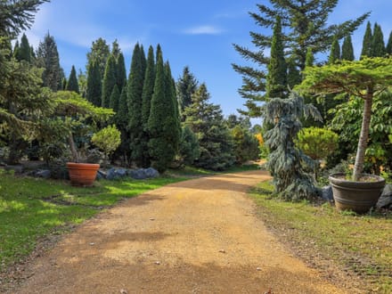 Established Specialty Landscaping Business with Premium Tree Inventory and Exceptional Private Estate 
