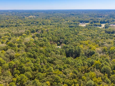 7718 & 7720 Flintridge Rd | Little Rock, AR | 7.6 Acres, 2 Homes, Pool & Gated Estate