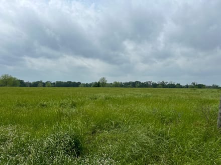 25 Acres | T-21 | County Road 3630