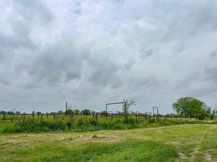19 Acres | T-20 | County Road 3630