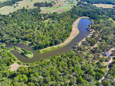  74 acres | 875 Old Highway 19