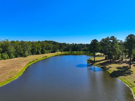  74 acres | 875 Old Highway 19