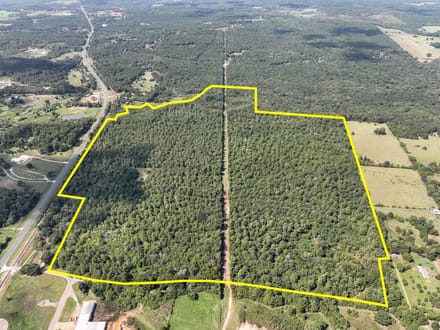 186 Acres | County Road 3302