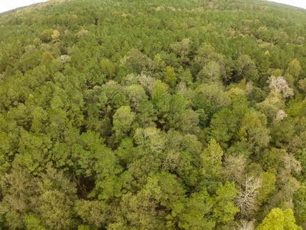 333 Acres | Glass Ranch