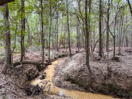 333 Acres | Glass Ranch