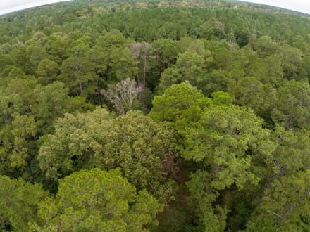 333 Acres | Glass Ranch