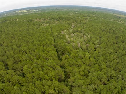333 Acres | Glass Ranch
